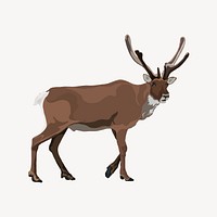 Elk illustration clipart, wild animal