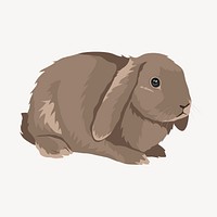 Pet bunny clipart, brown animal illustration