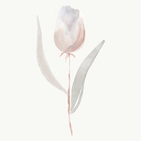 Tulip sticker, floral watercolor design vector