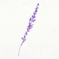 Lavender clip art, floral watercolor design