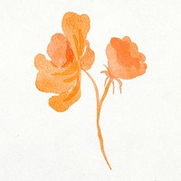 Flower clipart, watercolor orange illustration