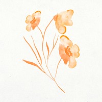 Flower clipart, watercolor orange illustration