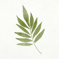Leaf sticker, botanical watercolor design psd