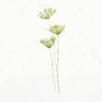 Botanical leaf illustration, green watercolor design