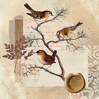 Vintage aesthetic ephemera collage, mixed media background featuring bird and wax seal psd