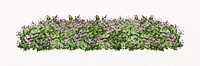 Flower bush collage element, morning glory, garden design psd