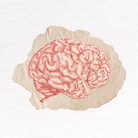 Brain clip art, ripped paper design vector