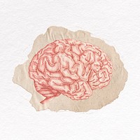 Brain clipart, ripped paper design