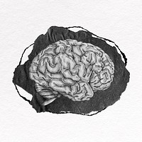 Brain clipart, gray ripped paper design