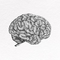 Grayscale brain clipart, medical design