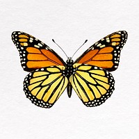 Monarch butterfly clip art, insect design vector