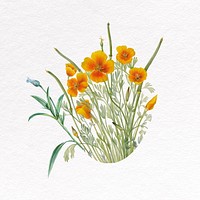 Yellow Mexican poppy clipart, botanical design psd
