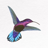 Aesthetic purple Hummingbird clipart, animal psd