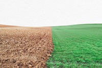 Half ploughed field border, nature background psd