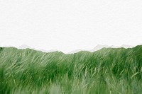Green grass ripped paper, nature background