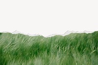 Green grass ripped paper border, nature background vector