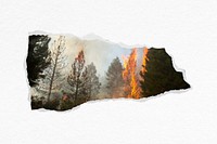 Forest fire ripped paper collage element psd