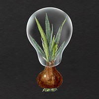 Squill plant light bulb illustration, protect the environment design vector