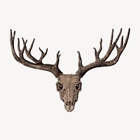 Deer skull vintage illustration vector