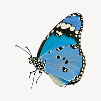 Blue butterfly illustration collage element vector