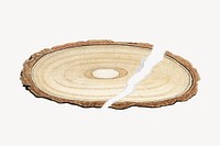 Cut tree trunk, ripped paper background vector