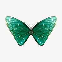 Green butterfly illustration collage element vector