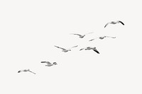 Flying birds border, migrating geese vector