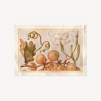 Botanical stamp ephemera collage element psd