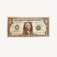 US dollar bill vector