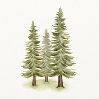 Watercolor pine forest, nature illustration