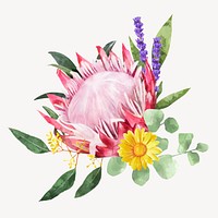 Watercolor king protea, flower collage element vector