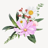 Watercolor pink cosmos, flower collage element vector