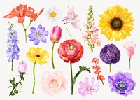 Watercolor floral collage element vector set 