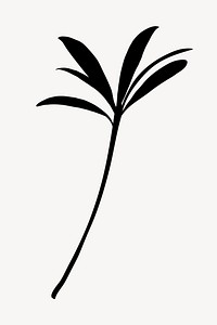 Oleander leaf silhouette, nature illustration