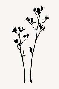 Flower silhouette, kangaroo paw illustration