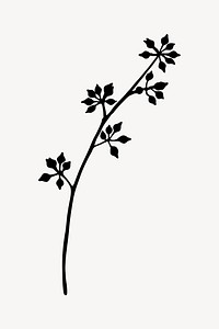 Flower silhouette, eucalyptus buds branch illustration