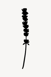 Silhouette blooming lavender flower illustration