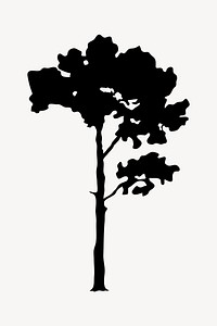 Pine tree silhouette, nature collage element psd