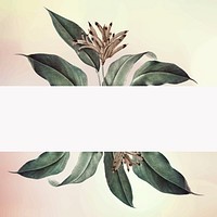 Banner with a tropical background vector