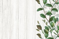 Floral white wooden background illustration