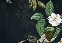 Black wall with musk rose illustration