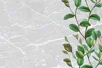 Floral gray marble textured background