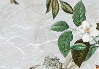 Marble textured background with musk rose