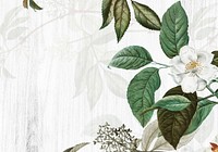 Wooden background with musk rose illustration