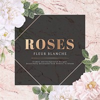 Frame on a marble background with musk rose illustration