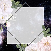 Frame on a galaxy background with musk rose vector