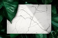 Marble slate on a leafy background vector