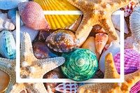 White frame on colorful seashells background vector