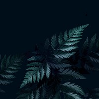 Tropical fern leaves background vector