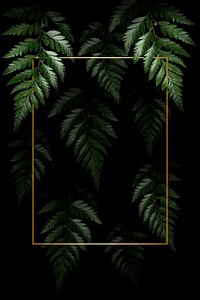 Rectangle golden frame on a tropical background